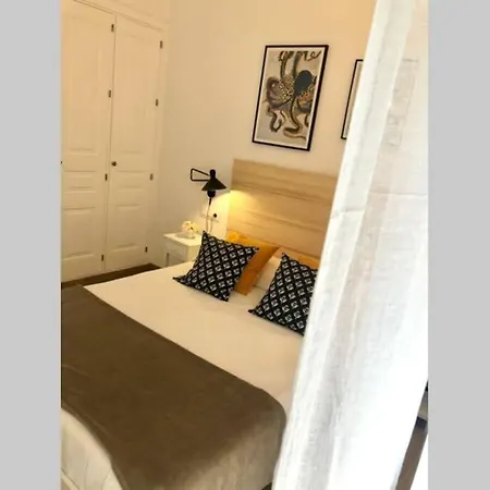 Gatu Premium Libertad, Preferente Mayores De 25 Anos Y Familias