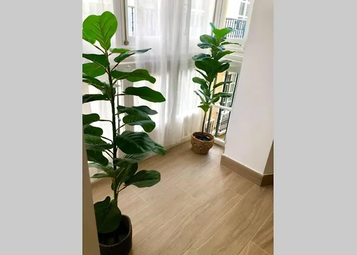 Gatu Premium Libertad *