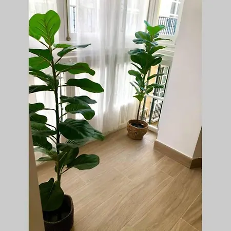 Gatu Premium Libertad *