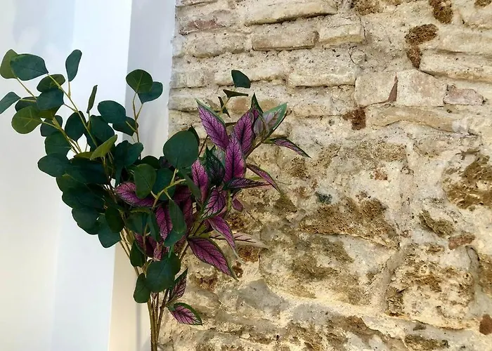 Gatu Premium Libertad *