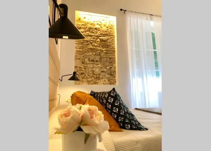 Gatu Premium Libertad * Cádiz