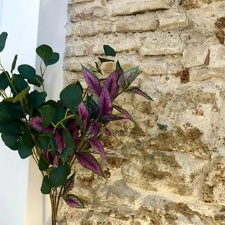 Gatu Premium Libertad *