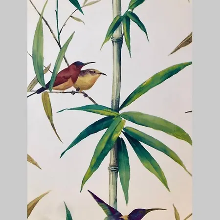 Gatu Premium Libertad Appartement Cadix